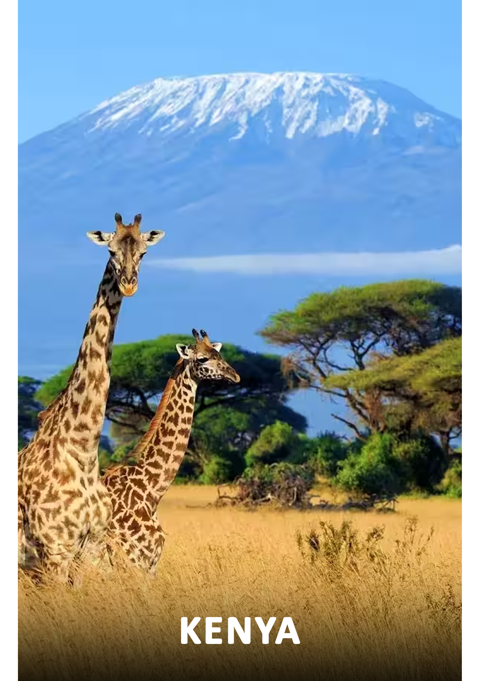 kenya