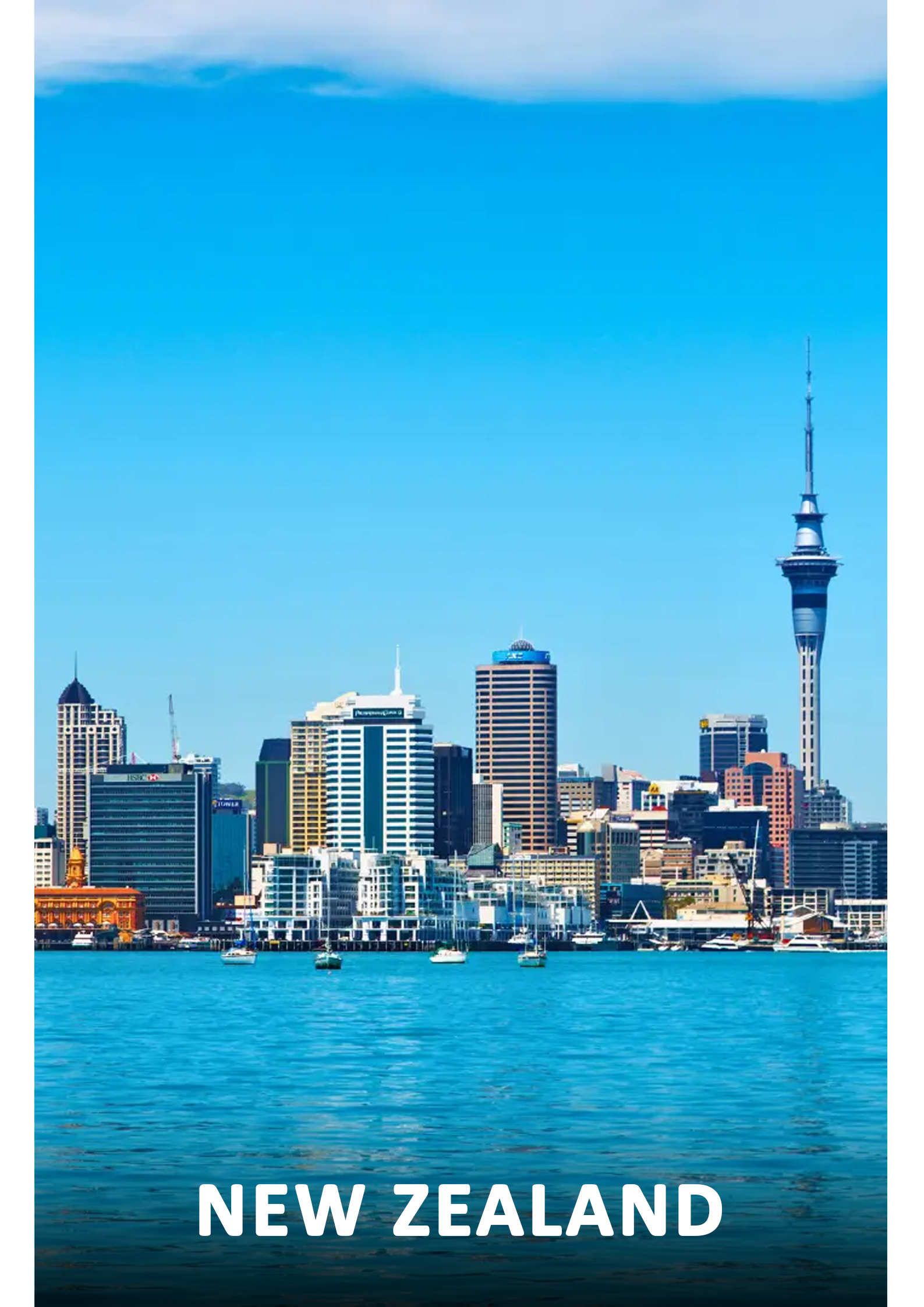 nz